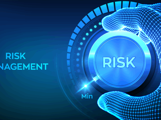 Risk Management in Digital Transformation According to DGA: Towards a Safe and Sustainable Digital Future