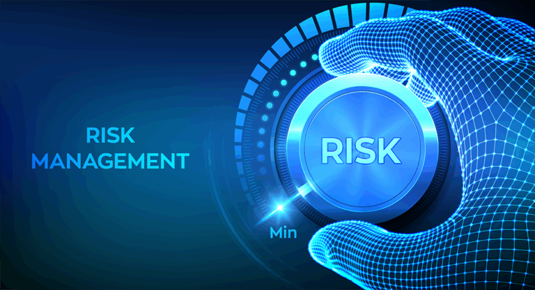 Risk Management in Digital Transformation According to DGA: Towards a ...